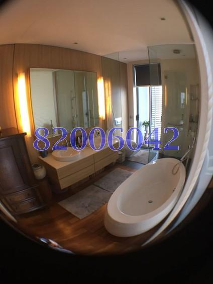 The Boulevard Residence (D10), Apartment #160664782